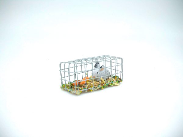 CAGE LAPIN+CAROTTES