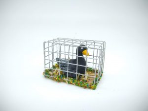 Cage au canard